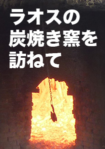 ラオスの炭焼き窯を訪ねて　備長炭、切炭、オガ炭の生産の現場を訪ねてみました