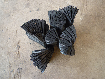 規定の大きさにカットされた炭（黒炭）