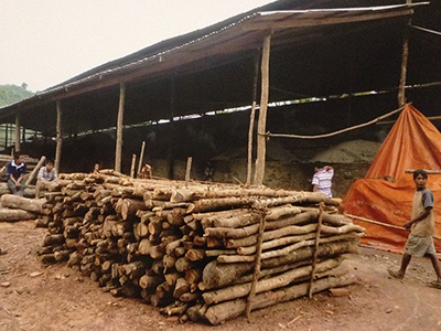 集められた炭材。マイテューという木材が備長炭になります