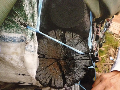 加工場へ運ぶため梱包される炭