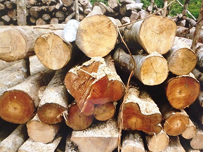 集めた炭材を乾燥させます